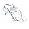 Проводка для стиральной машины Bosch SRV43M03EU/44, Siemens, NEFF S54T09X2EU - 00493906