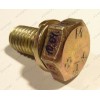 Болт крепления шкива стиральной машины Samsung WFF861, S1005J, S815J, S821GWL/YLP