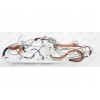 Проводка для стиральной машины Bosch WLG2406MOE/03