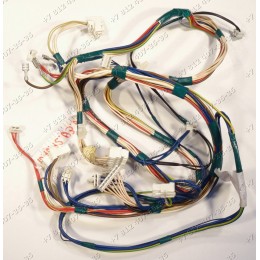 Проводка стиральной машины Whirlpool AWOE7100 859202010010