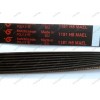 Ремень EL 1181 EPH1181, EL1181, 1181 H8 MAEL для стиральной машины Ariston AVSL66IT, Indesit